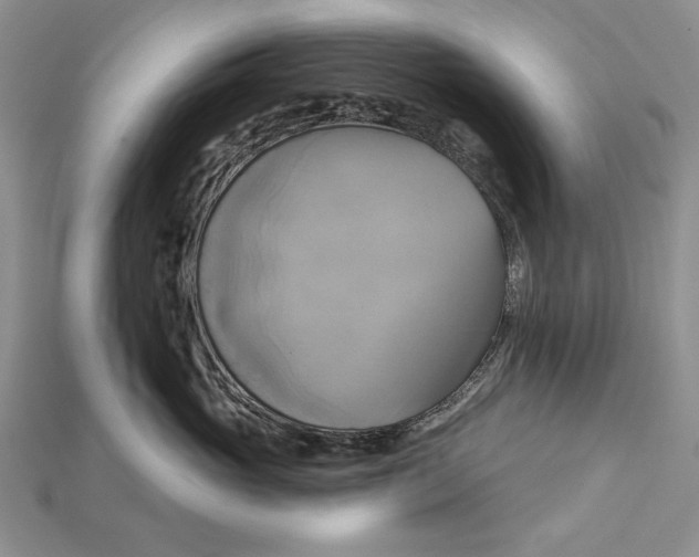 X0000114670765200911121333