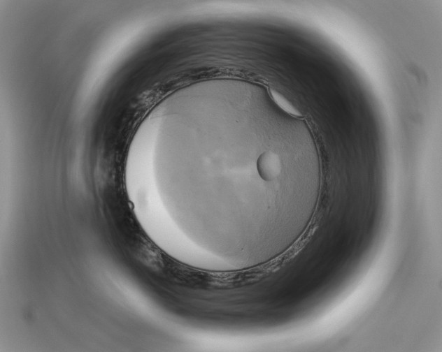 X0000114670766200911121333