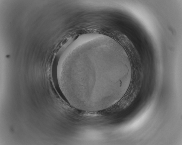 X0000114670767200911121333