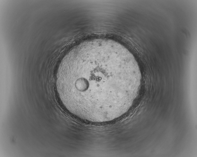 X0000114670769200911121332