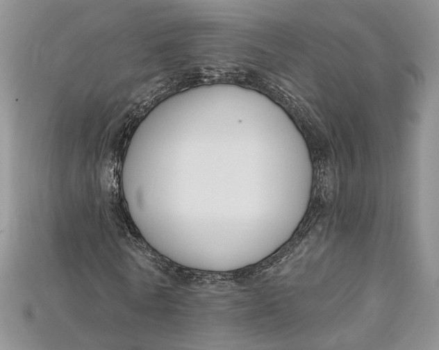 X0000114670770200911121332