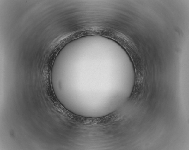 X0000114670773200911121332