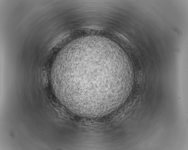 X0000114670774200911121332