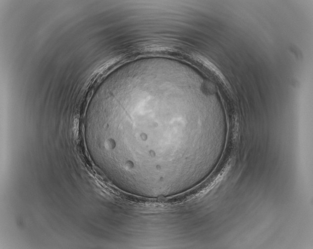 X0000114670777200911121332