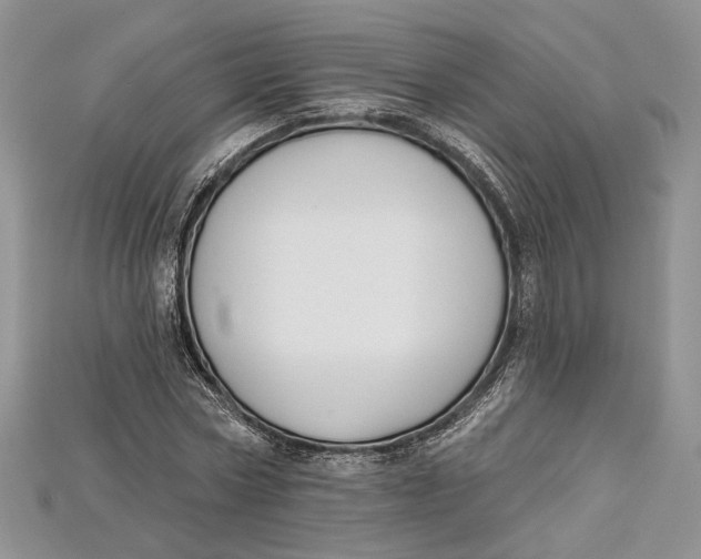 X0000114670778200911121332