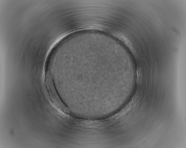 X0000114670780200911121332