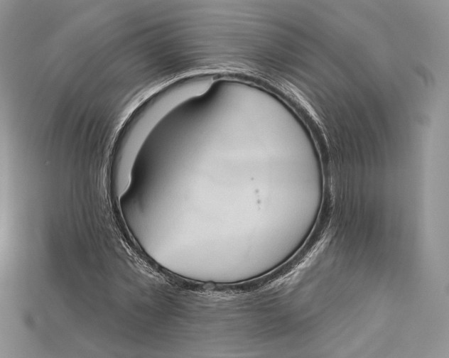 X0000114670781200911121332