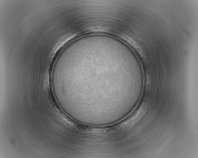 X0000114670782200911121332