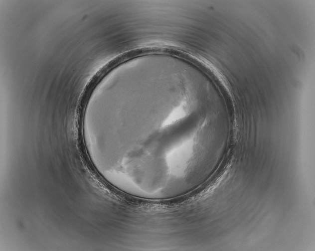 X0000114670783200911121332