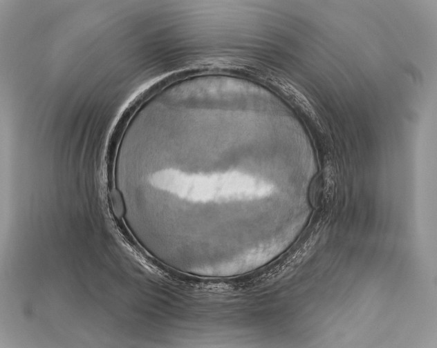 X0000114670784200911121332