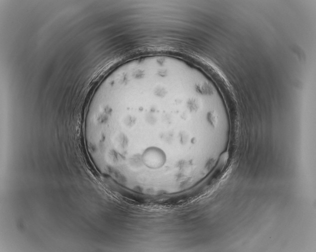 X0000114670785200911121332