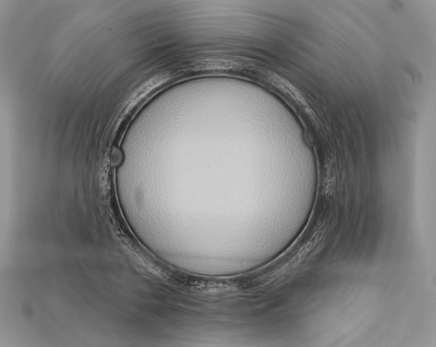 X0000114670786200911121332