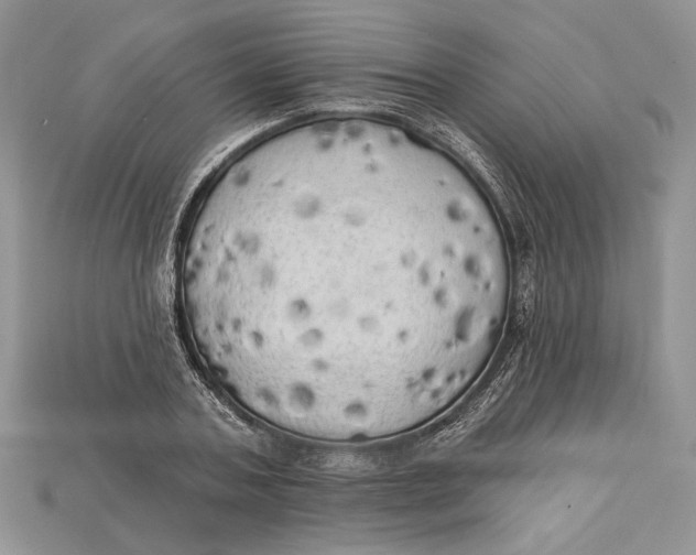 X0000114670787200911121332