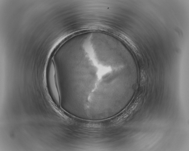 X0000114670788200911121332