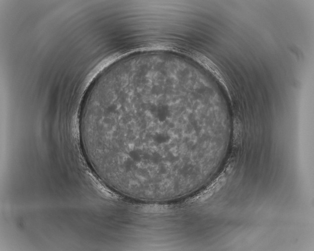 X0000114670789200911121332