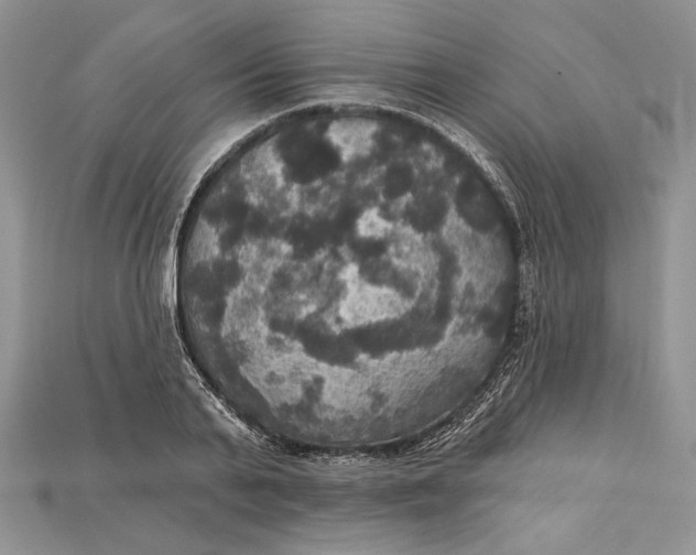 X0000114670791200911121332