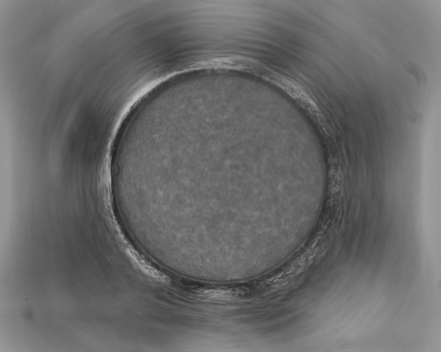 X0000114670792200911121332