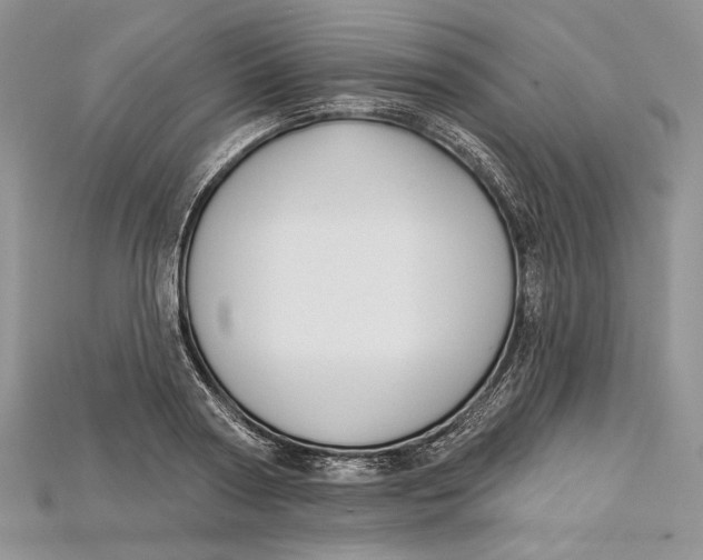 X0000114670794200911121332