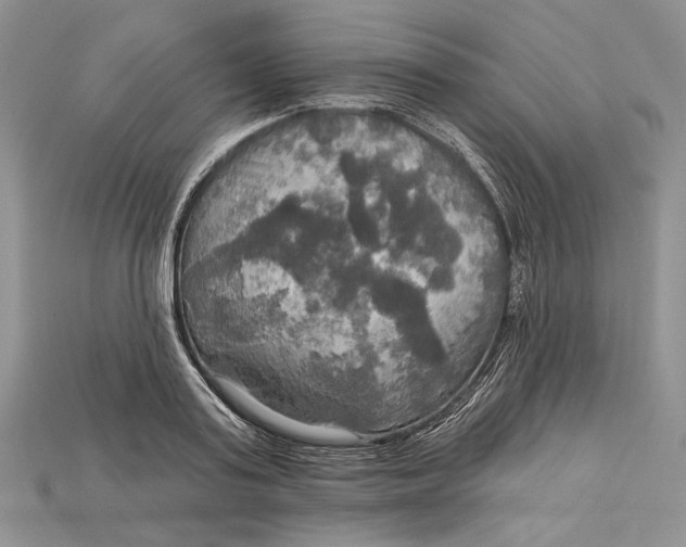 X0000114670795200911121332