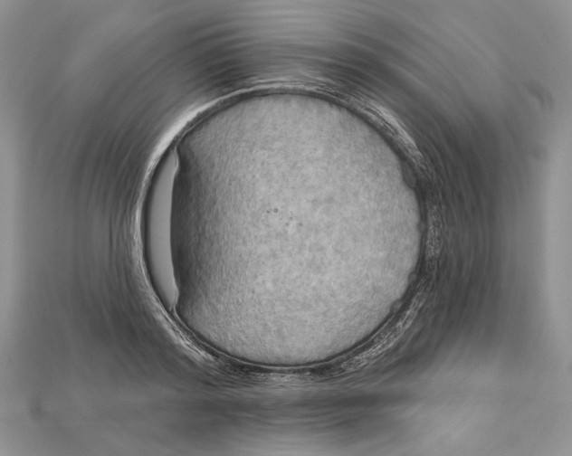 X0000114670796200911121332