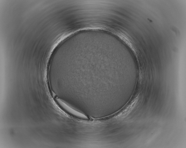 X0000114670797200911121332