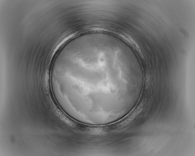 X0000114670798200911121332