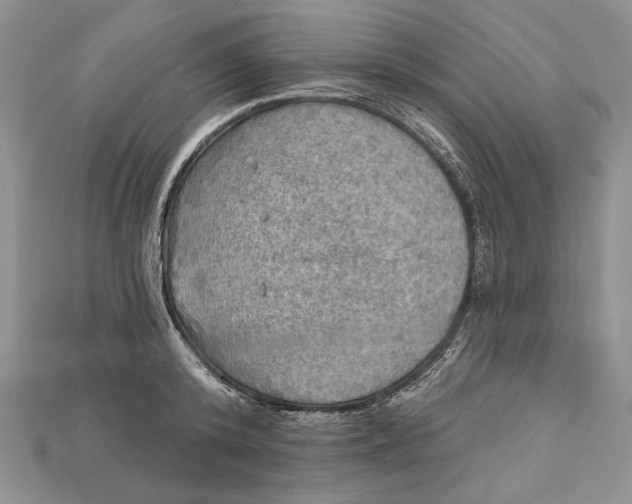 X0000114670800200911121332