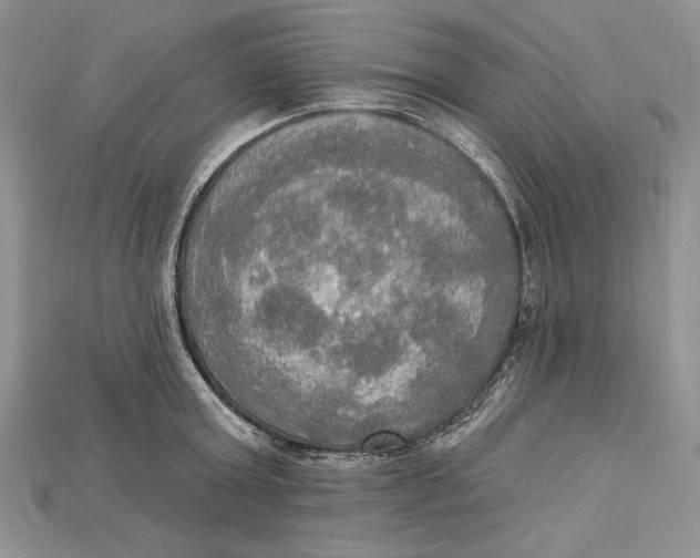 X0000114670803200911121332