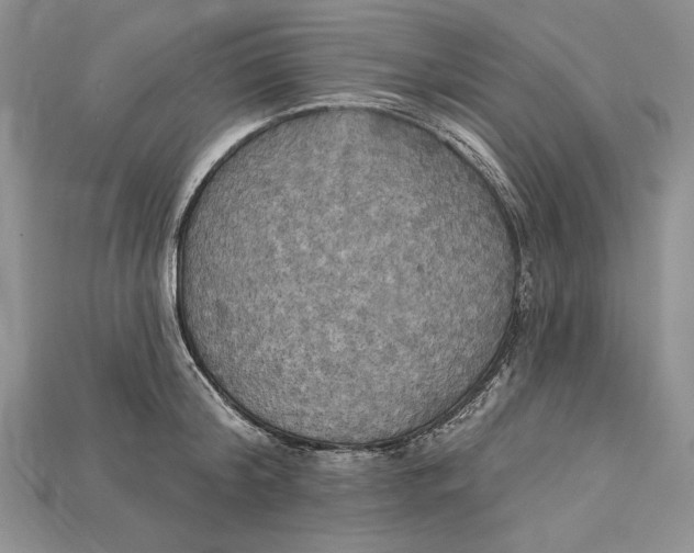 X0000114670804200911121332