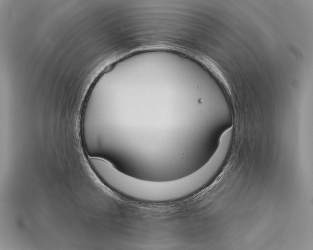 X0000114670805200911121331