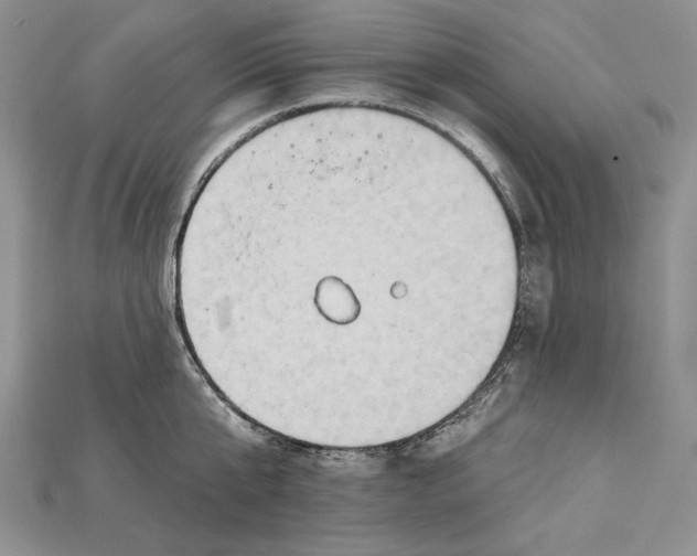 X0000114670807200911121331