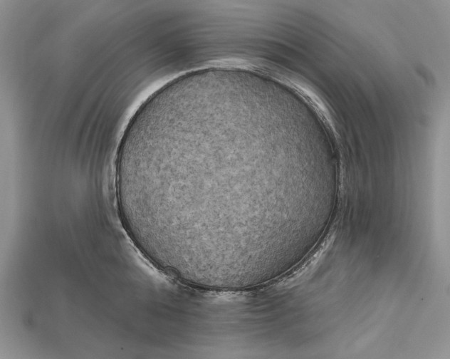 X0000114670808200911121331