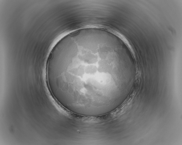 X0000114670811200911121331