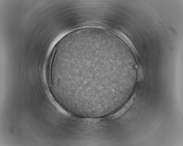 X0000114670812200911121331