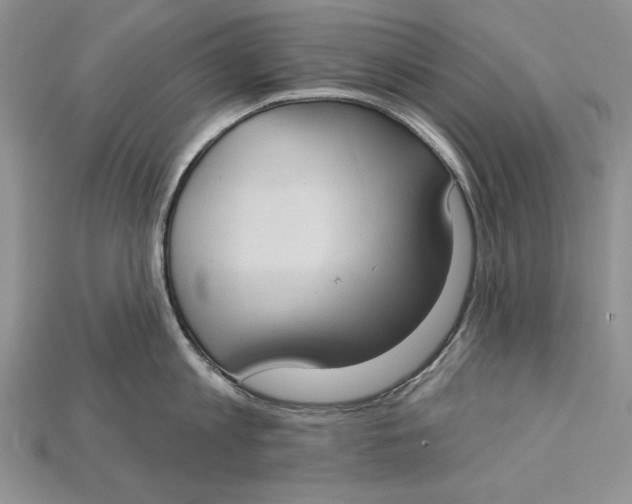 X0000114670813200911121331