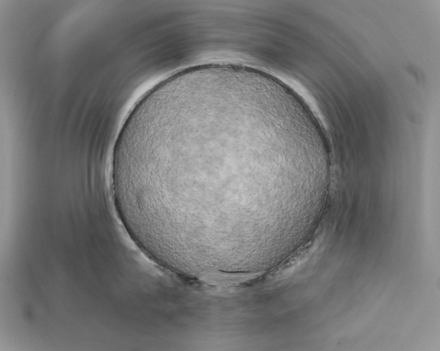 X0000114670815200911121331