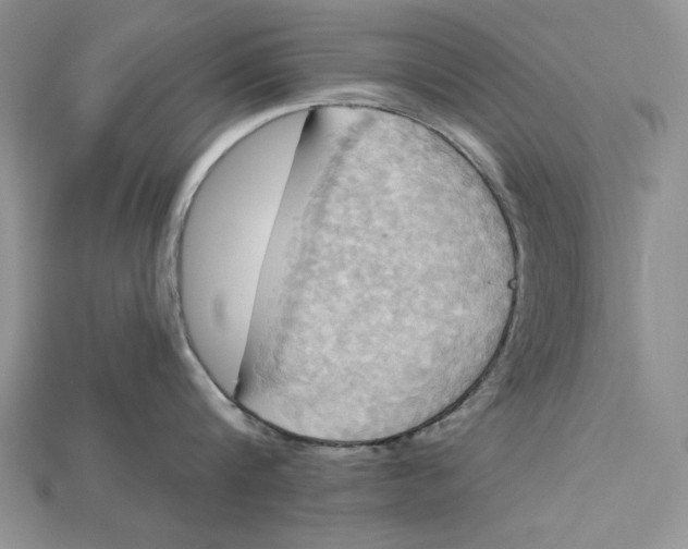 X0000114670816200911121331