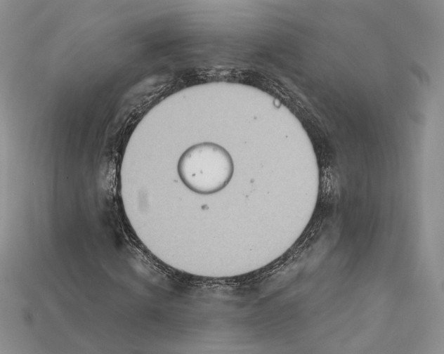 X0000114670820200911121331