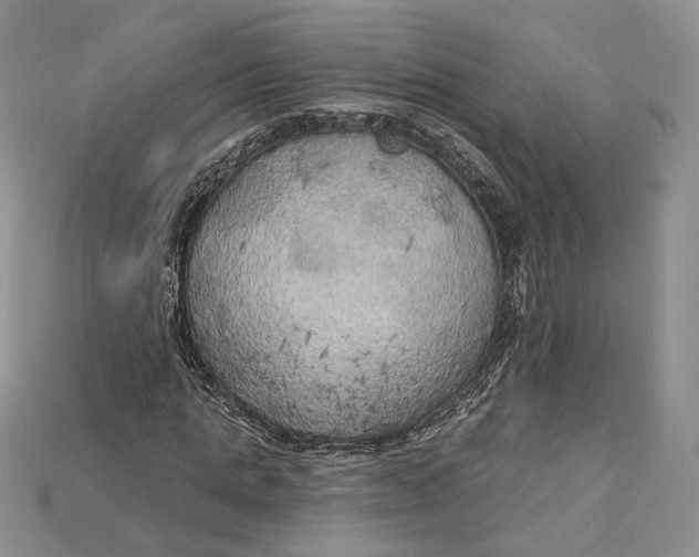 X0000114670821200911121331