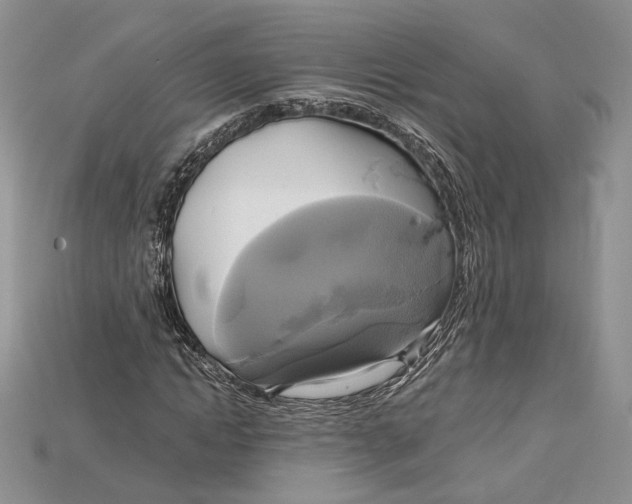 X0000114670822200911121331