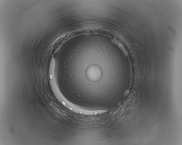 X0000114670824200911121331