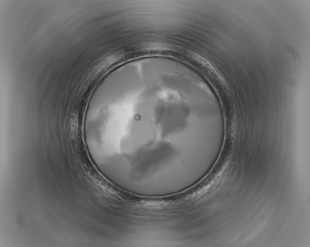 X0000114670825200911121331