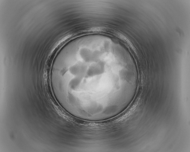 X0000114670827200911121331