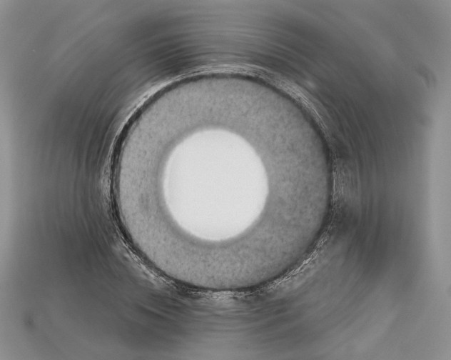 X0000114670828200911121331