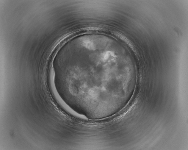 X0000114670829200911121331