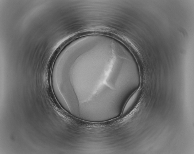 X0000114670830200911121331