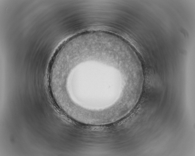 X0000114670832200911121331