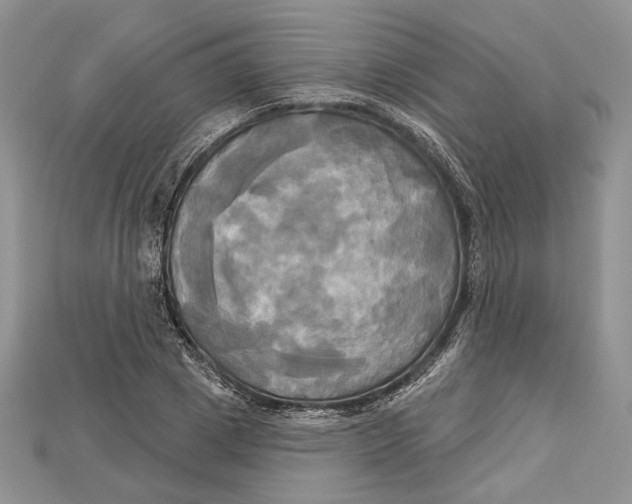 X0000114670833200911121331