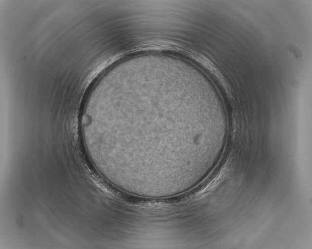 X0000114670834200911121331