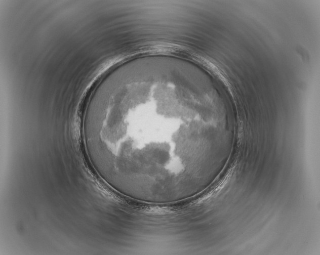 X0000114670835200911121331